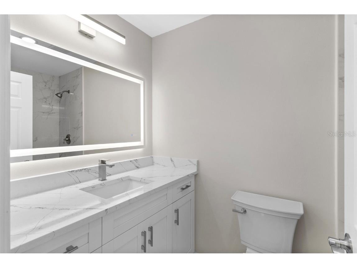 316 Shore Drive E Oldsmar FL 34677 - UPPER TAMPA BAY TB8408673 image14