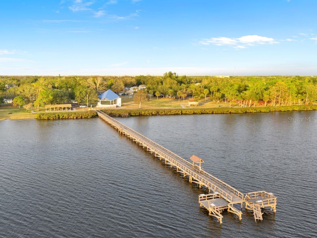 316 Shore Drive E Oldsmar FL 34677 - UPPER TAMPA BAY TB8408673 image30