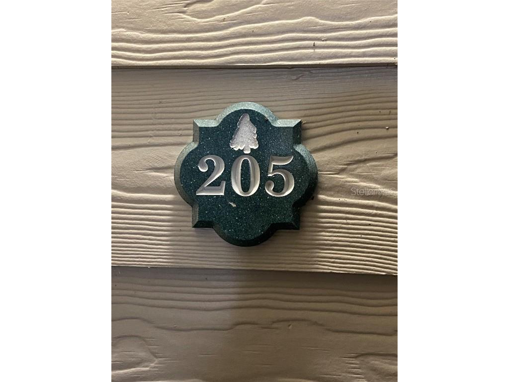 316 Southern Pecan Circle #205 Winter Garden FL 34787 O6363602 image3