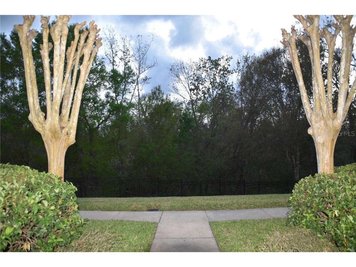 316 Southern Pecan Circle #205 Winter Garden FL 34787 O6363602 image4
