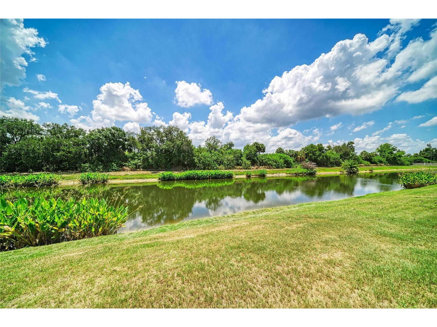 316 Star Shell Drive Apollo Beach FL 33572 A4698389 image48