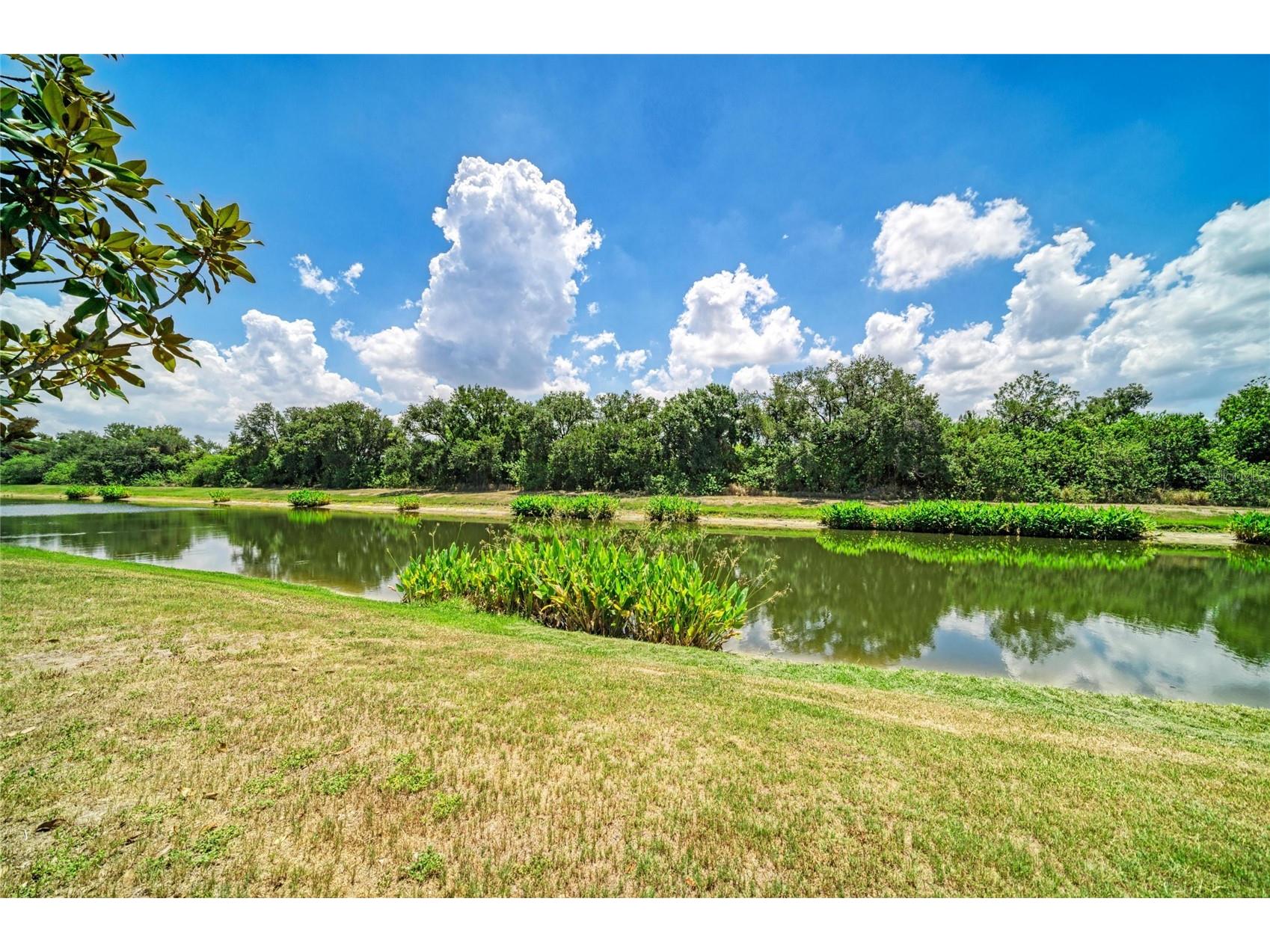 316 Star Shell Drive Apollo Beach FL 33572 A4698389 image49