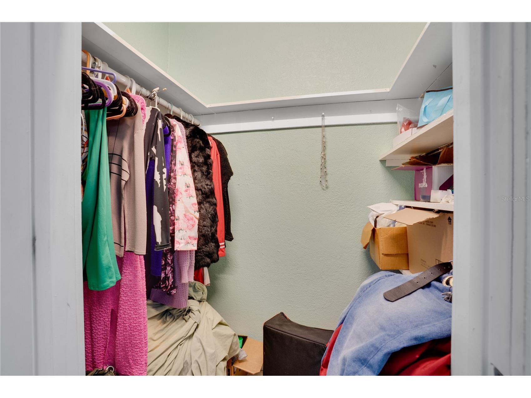 316 W Columbus Drive Tampa FL 33602 TB8476378 image8
