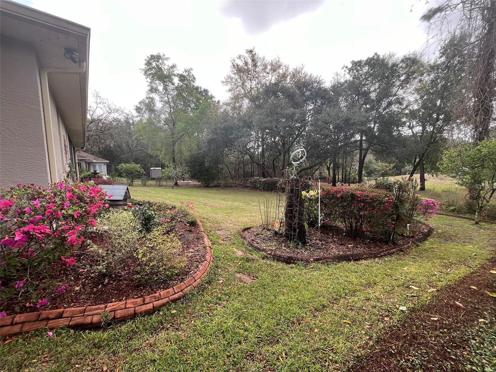 316 W Wason Street Citrus Springs FL 34434 OM723145 image41