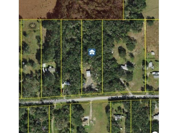 316 Wendel Avenue Lithia FL 33547 TB8343849 image1