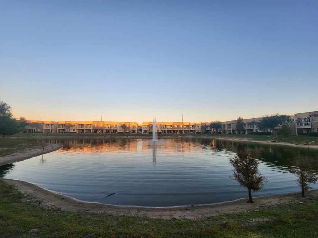 3160 Pantanal Lane Kissimmee FL 34747 O6361487 image46