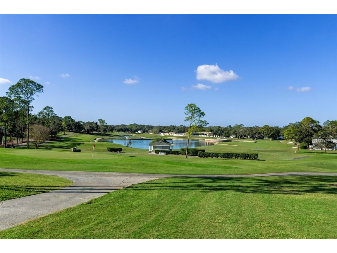 3160 Whispering Pines Court Spring Hill FL 34606 W7874171 image37