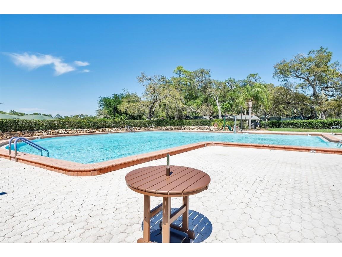 3160 Whispering Pines Court Spring Hill FL 34606 W7874171 image57