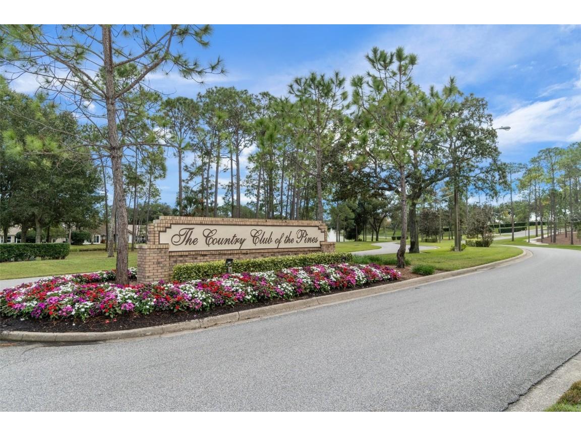 3160 Whispering Pines Court Spring Hill FL 34606 W7874171 image67