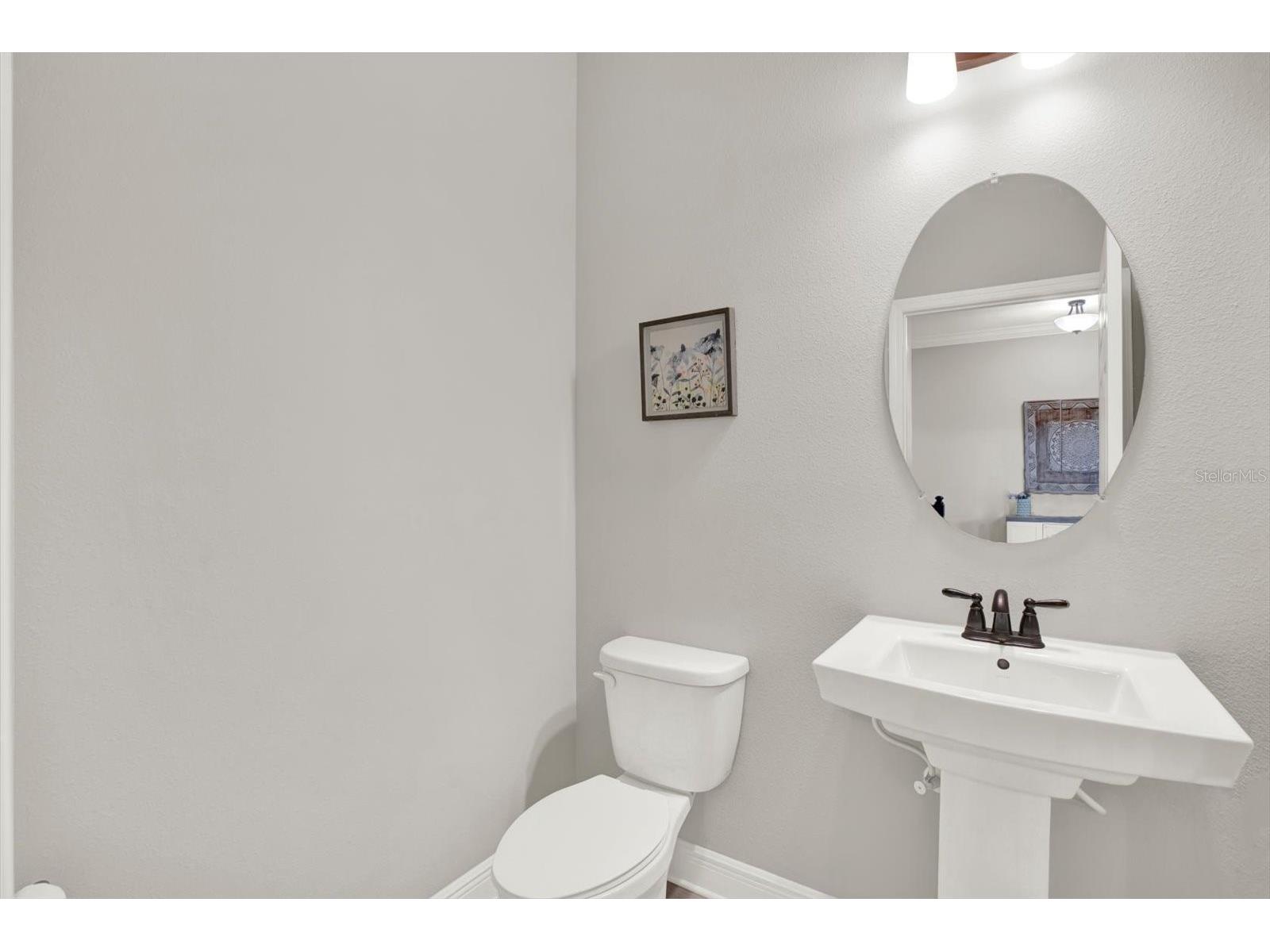 31601 Holton Court Wesley Chapel FL 33545 TB8502550 image28