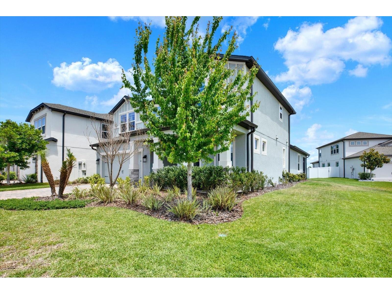 31601 Holton Court Wesley Chapel FL 33545 TB8502550 image46