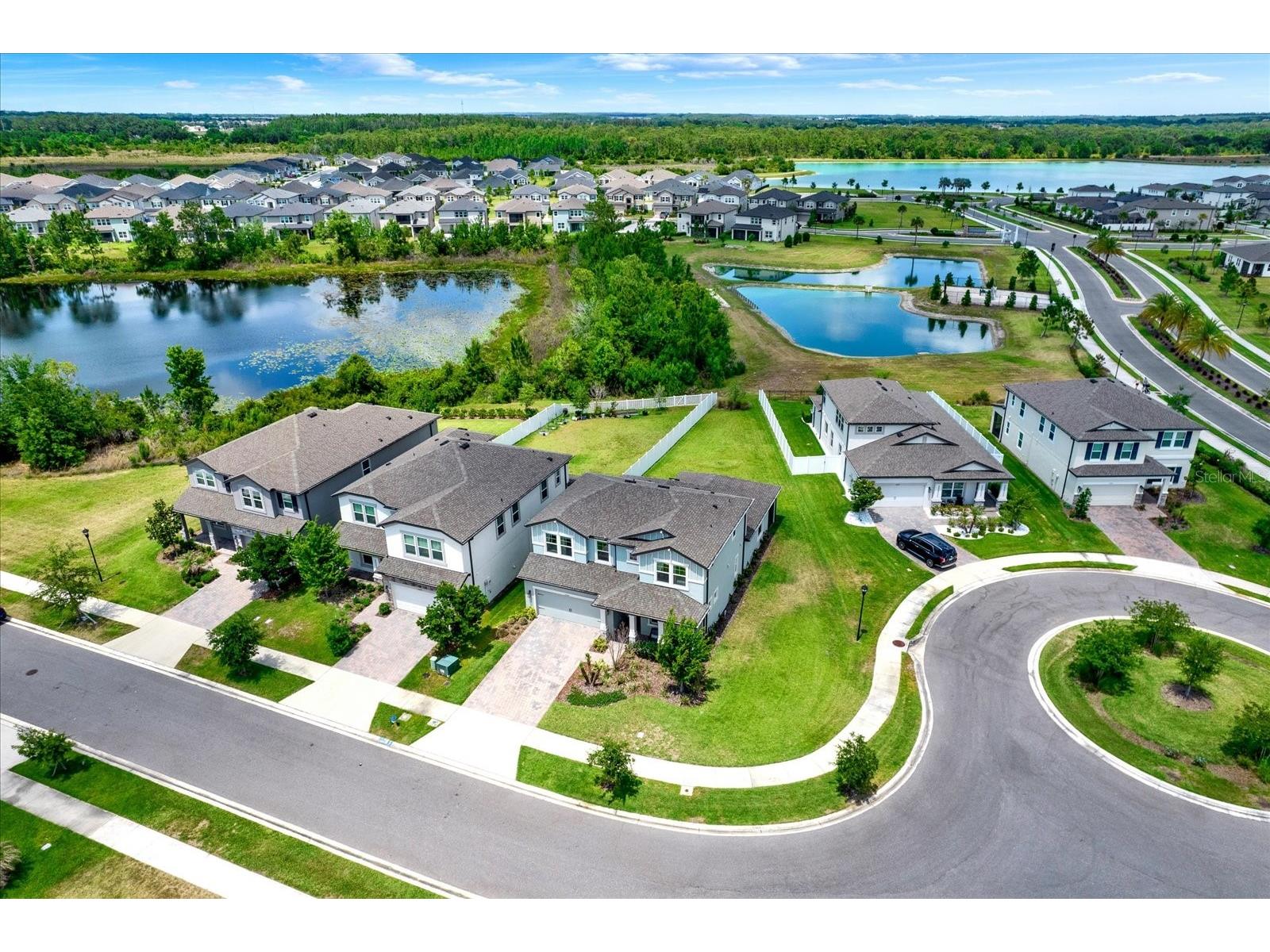 31601 Holton Court Wesley Chapel FL 33545 TB8502550 image49