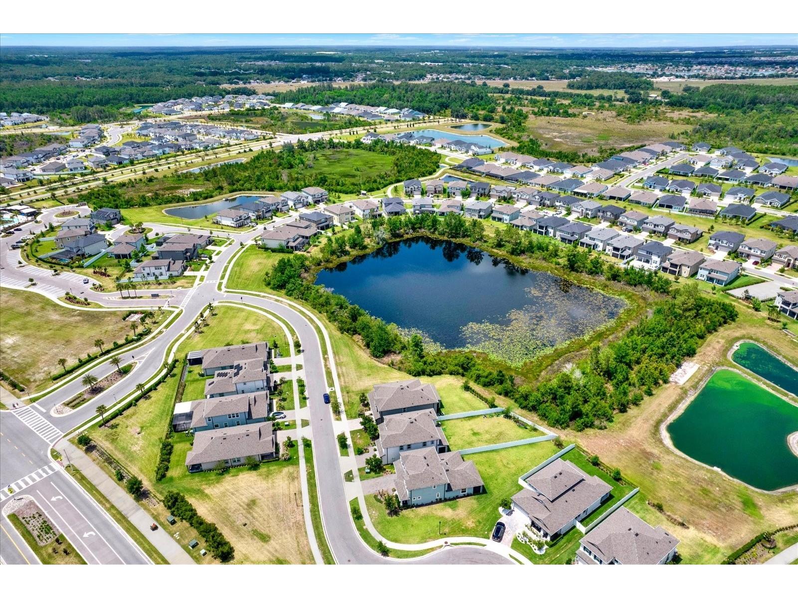 31601 Holton Court Wesley Chapel FL 33545 TB8502550 image52