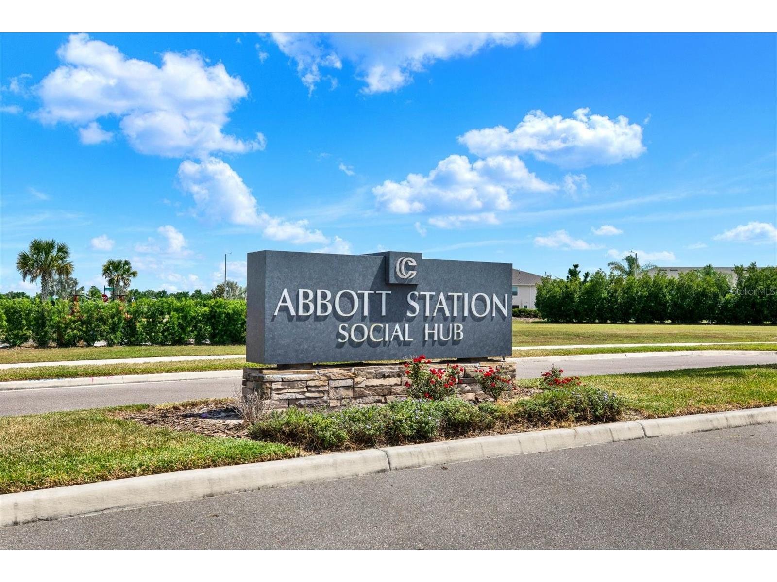 31601 Holton Court Wesley Chapel FL 33545 TB8502550 image55