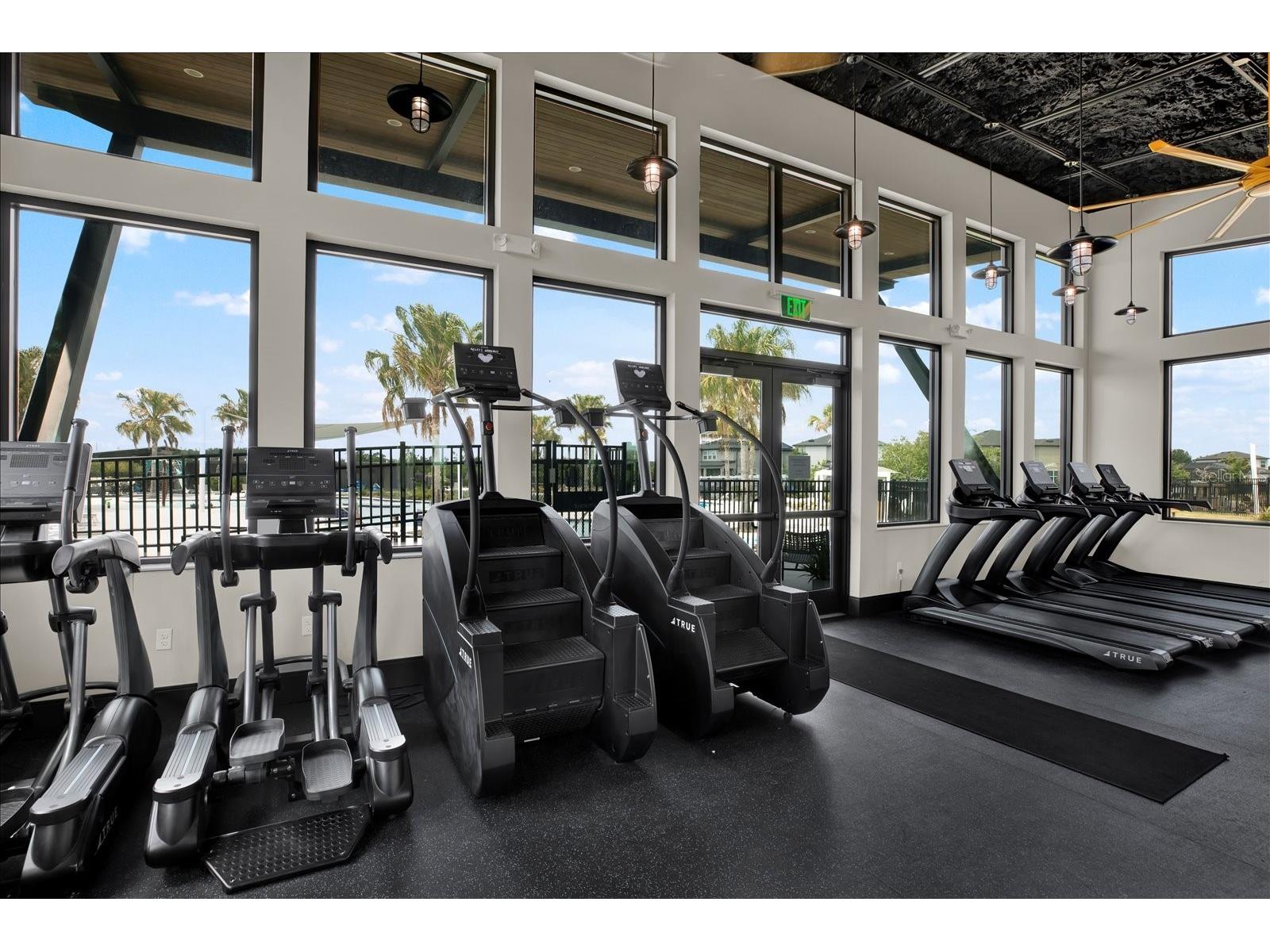 31601 Holton Court Wesley Chapel FL 33545 TB8502550 image63