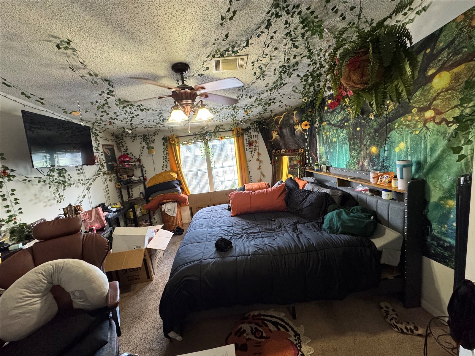 31601 Spruce Drive Eustis FL 32736 O6408743 image17
