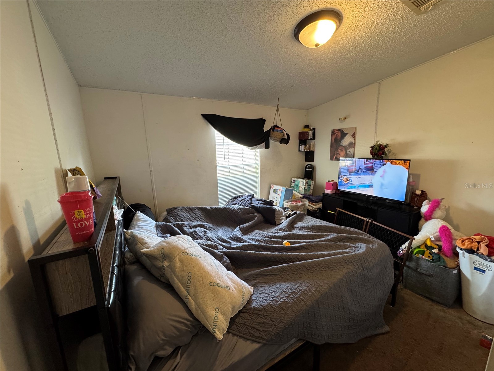 31601 Spruce Drive Eustis FL 32736 O6408743 image28