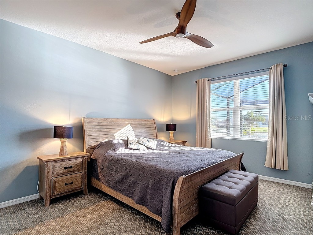 31602 Tansy Bend Wesley Chapel FL 33545 TB8458065 image29