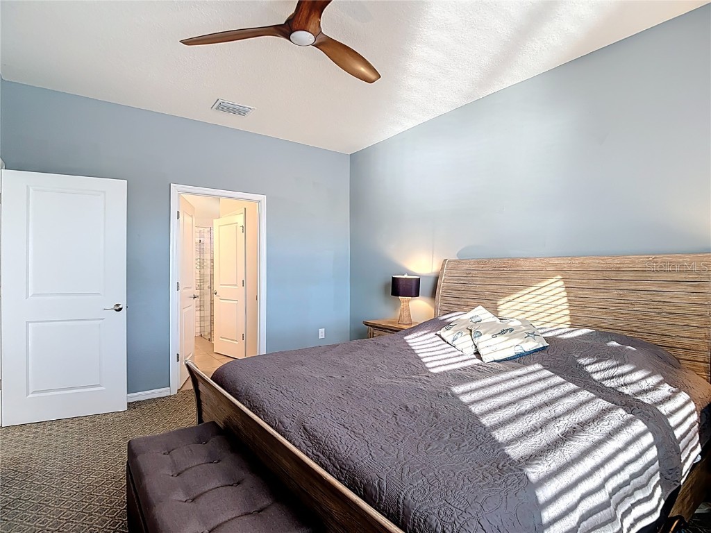 31602 Tansy Bend Wesley Chapel FL 33545 TB8458065 image30