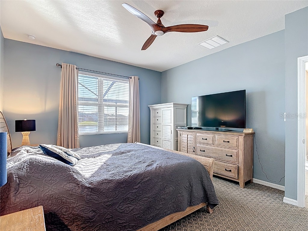 31602 Tansy Bend Wesley Chapel FL 33545 TB8458065 image32