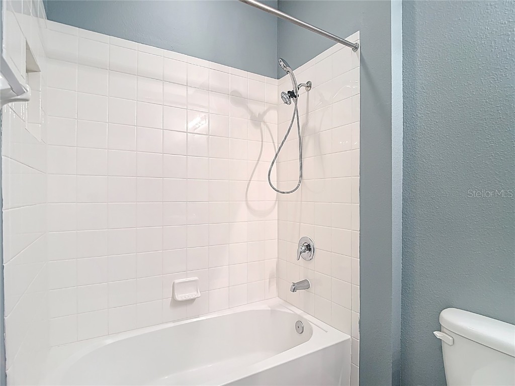 31602 Tansy Bend Wesley Chapel FL 33545 TB8458065 image43