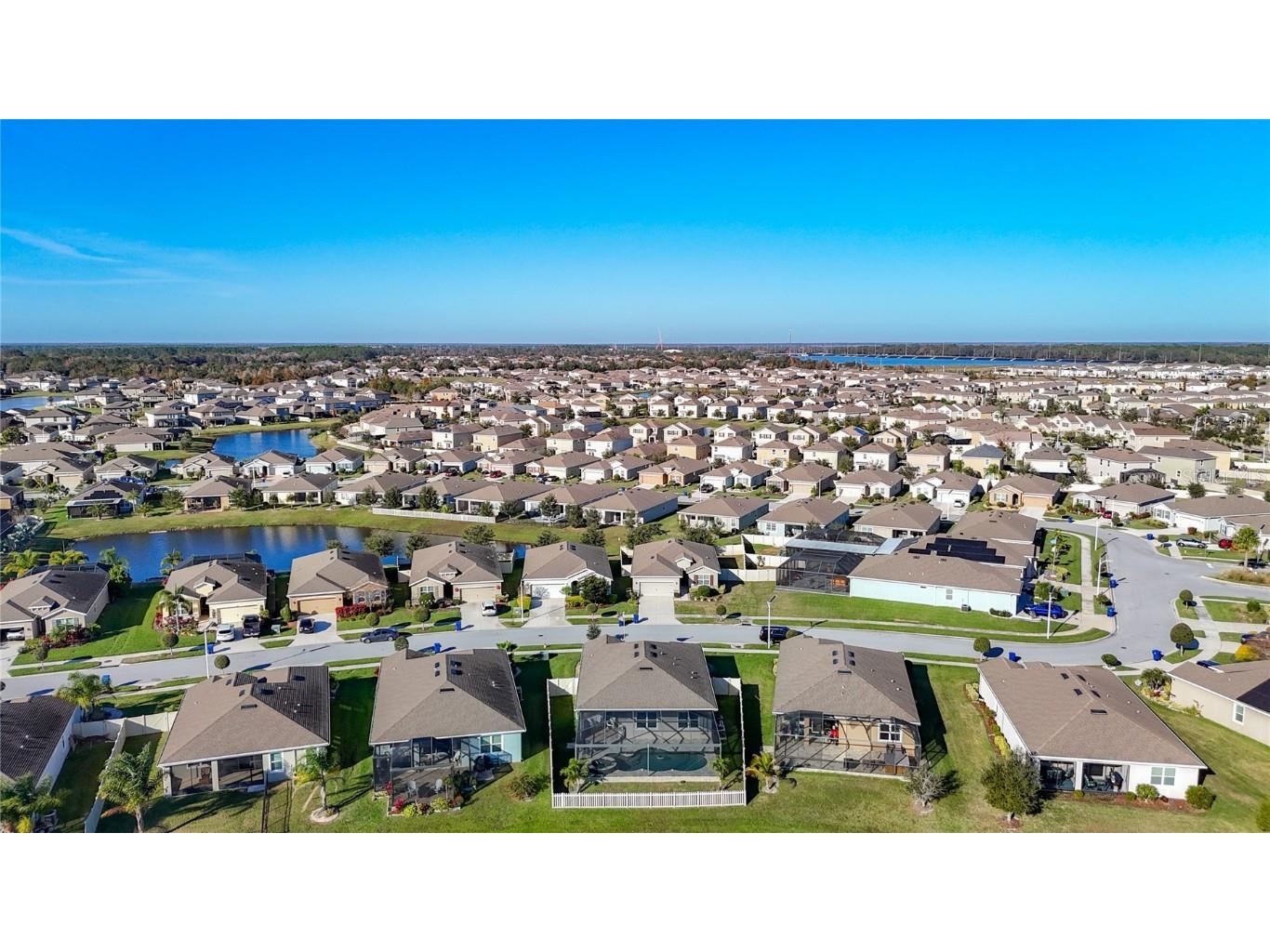 31602 Tansy Bend Wesley Chapel FL 33545 TB8458065 image58