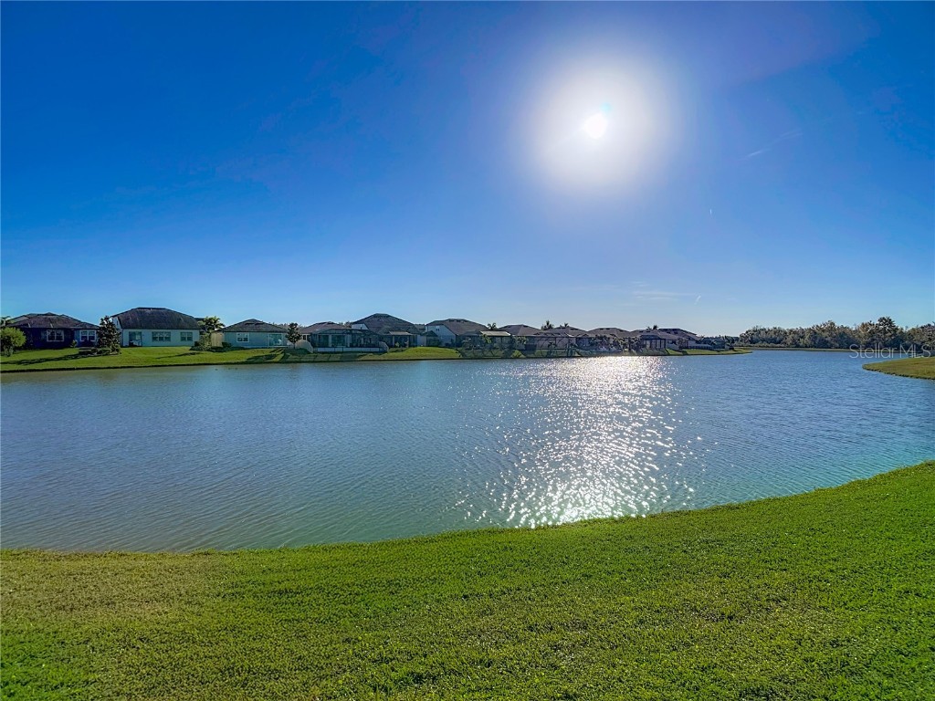 31602 Tansy Bend Wesley Chapel FL 33545 TB8458065 image59