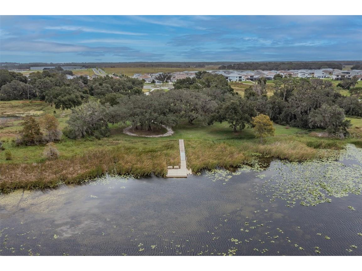 31602 Tansy Bend Wesley Chapel FL 33545 TB8458065 image77