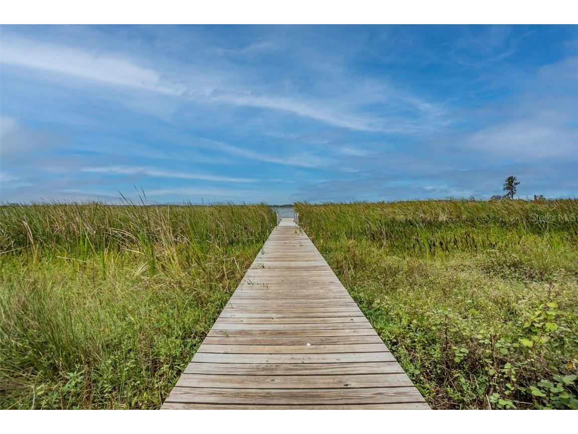 31602 Tansy Bend Wesley Chapel FL 33545 TB8458065 image78