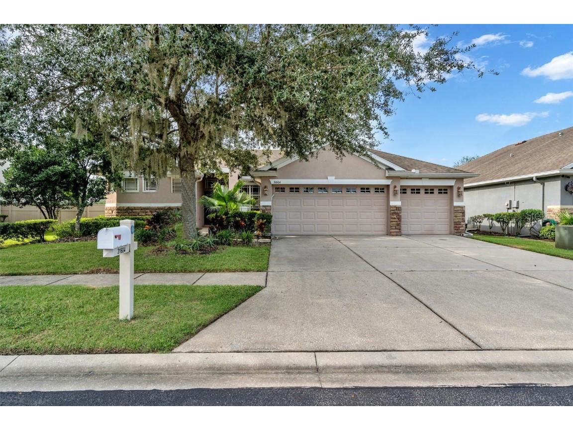 31604 Bearded Oak Drive Wesley Chapel FL 33543 L4938294 image1