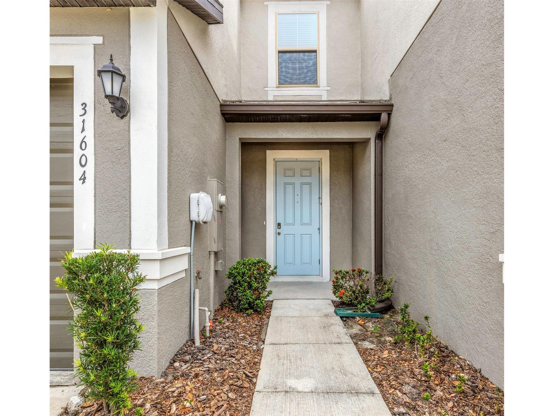 31604 Blue Passing Loop Wesley Chapel FL 33545 O6415896 image1