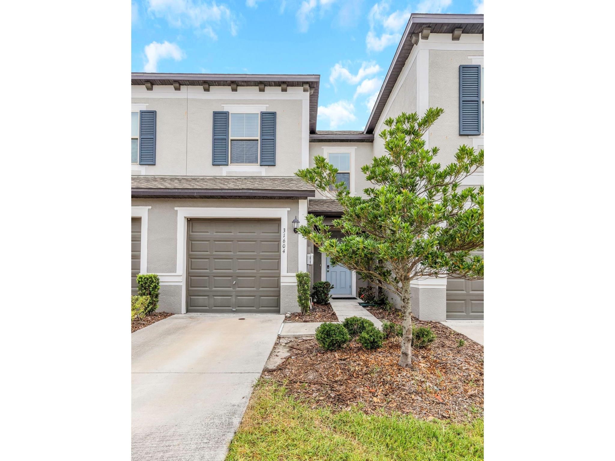 31604 Blue Passing Loop Wesley Chapel FL 33545 O6415896 image2