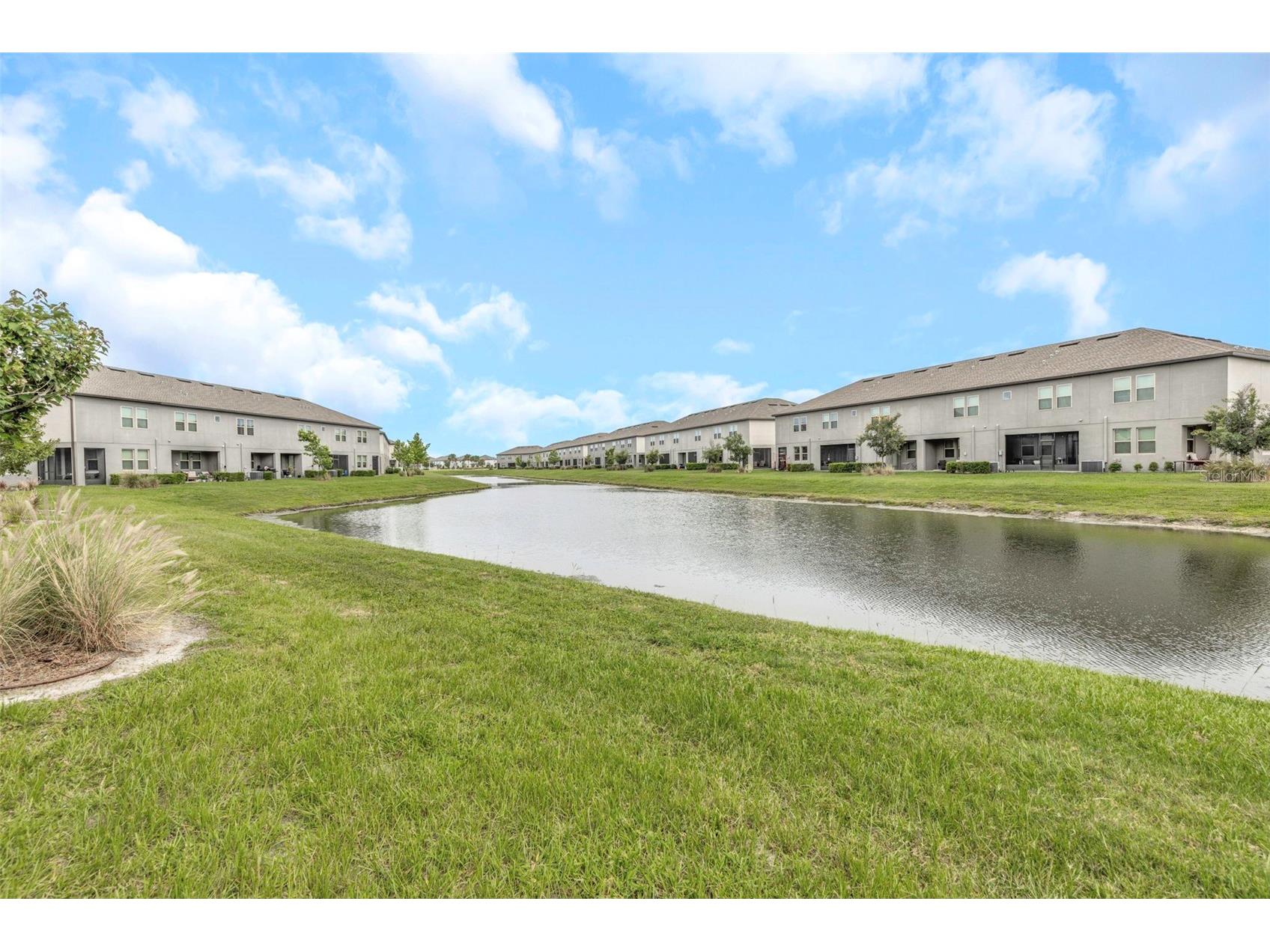 31604 Blue Passing Loop Wesley Chapel FL 33545 O6415896 image29