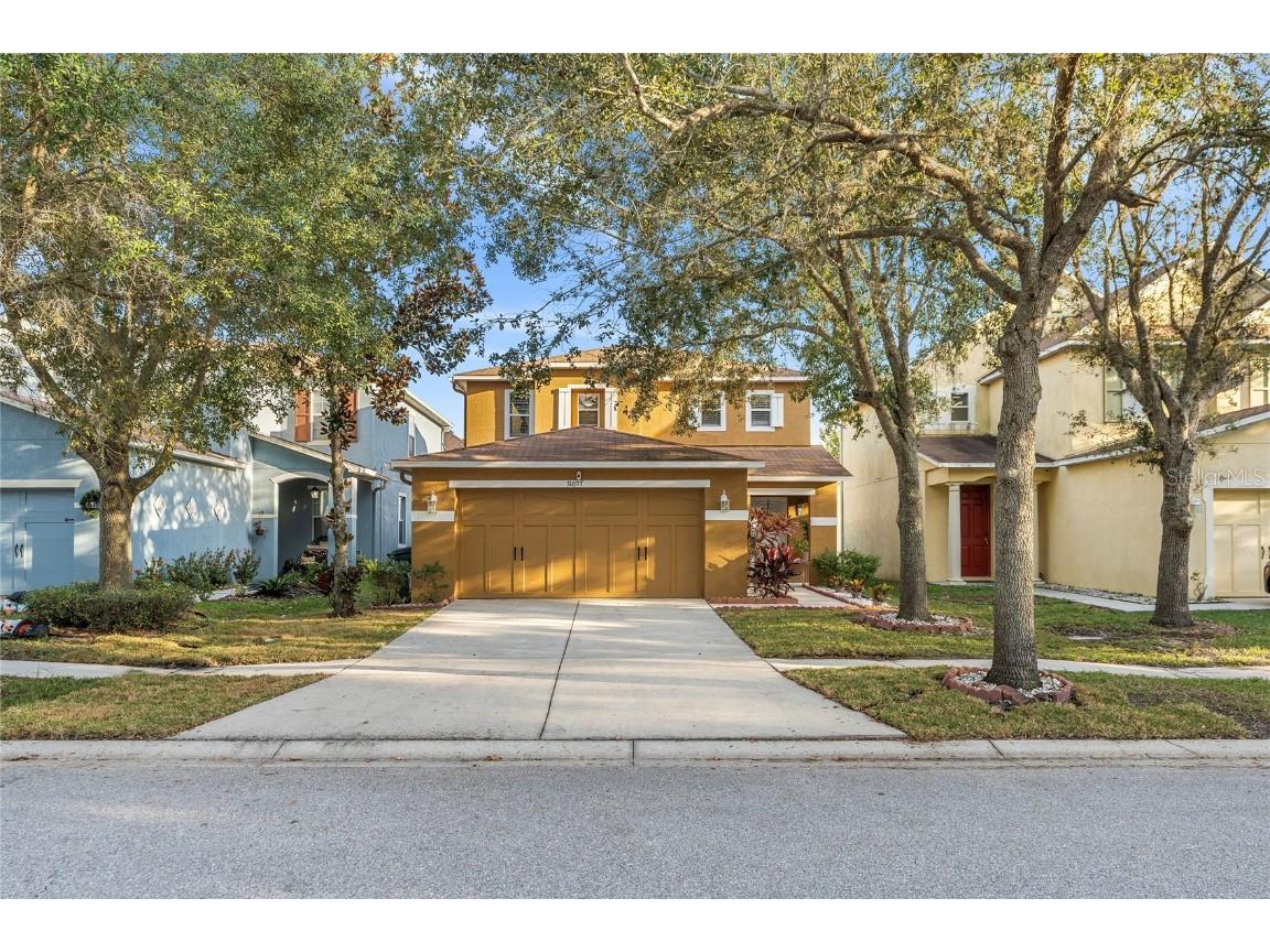 31607 Spoonflower Circle Wesley Chapel FL 33545 T3490832 image1