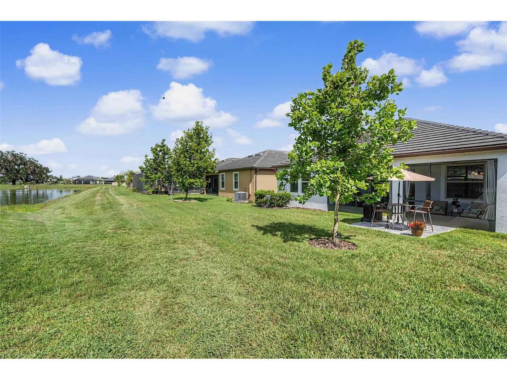 31609 Cannon Rush Drive San Antonio FL 33576 TB8514889 image32
