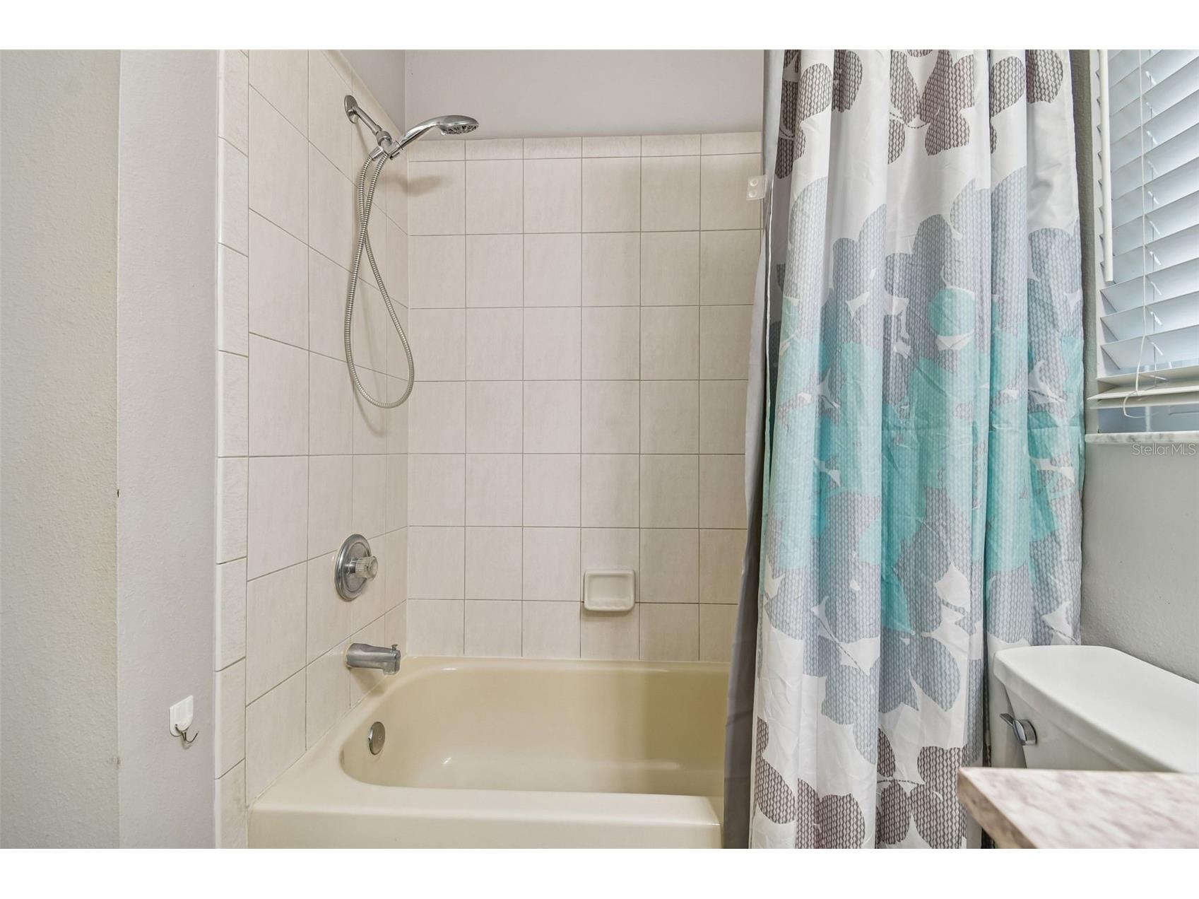 31609 Hunt Club Lane Wesley Chapel FL 33543 TB8483114 image31