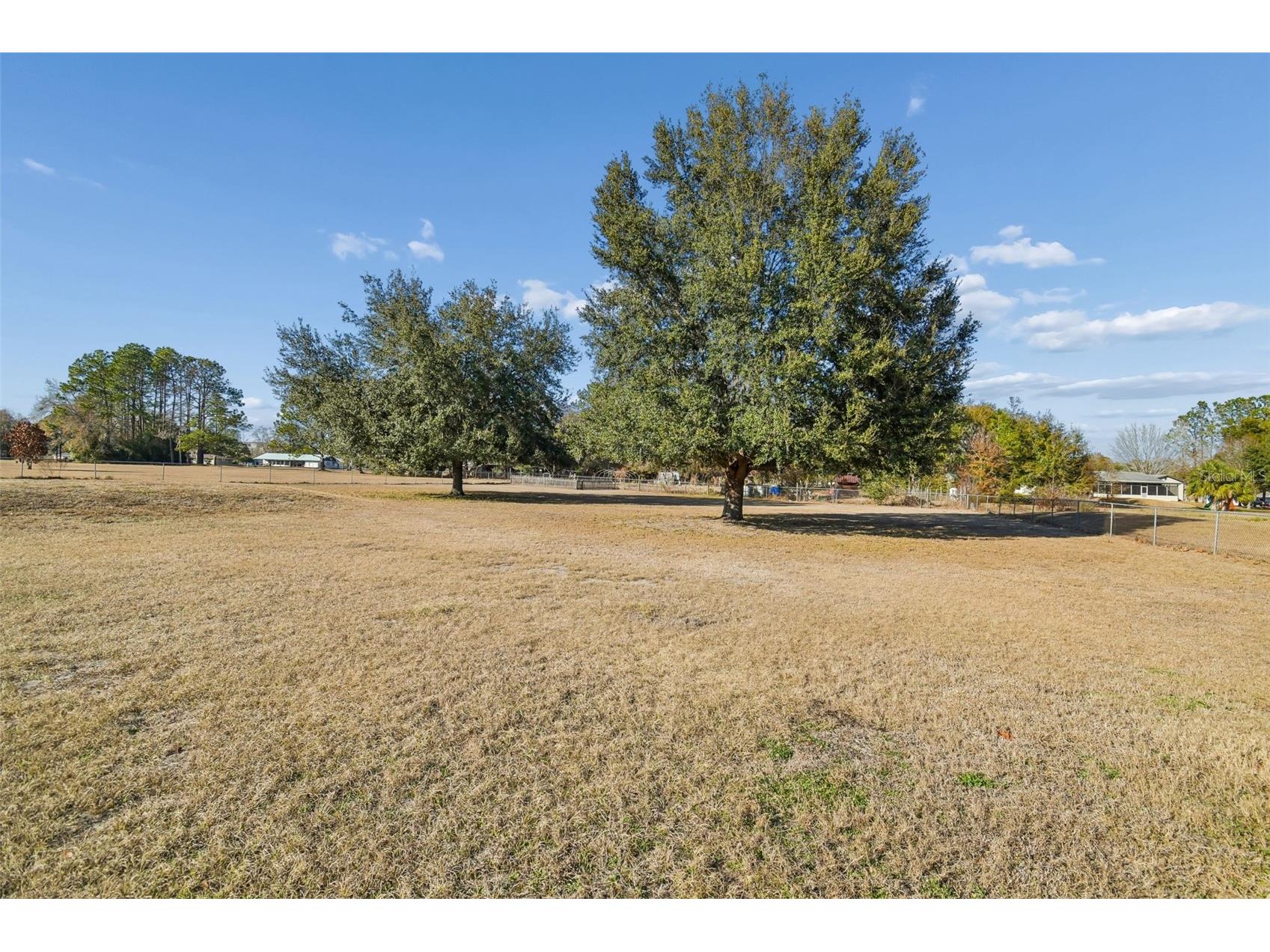 31609 Hunt Club Lane Wesley Chapel FL 33543 TB8483114 image49