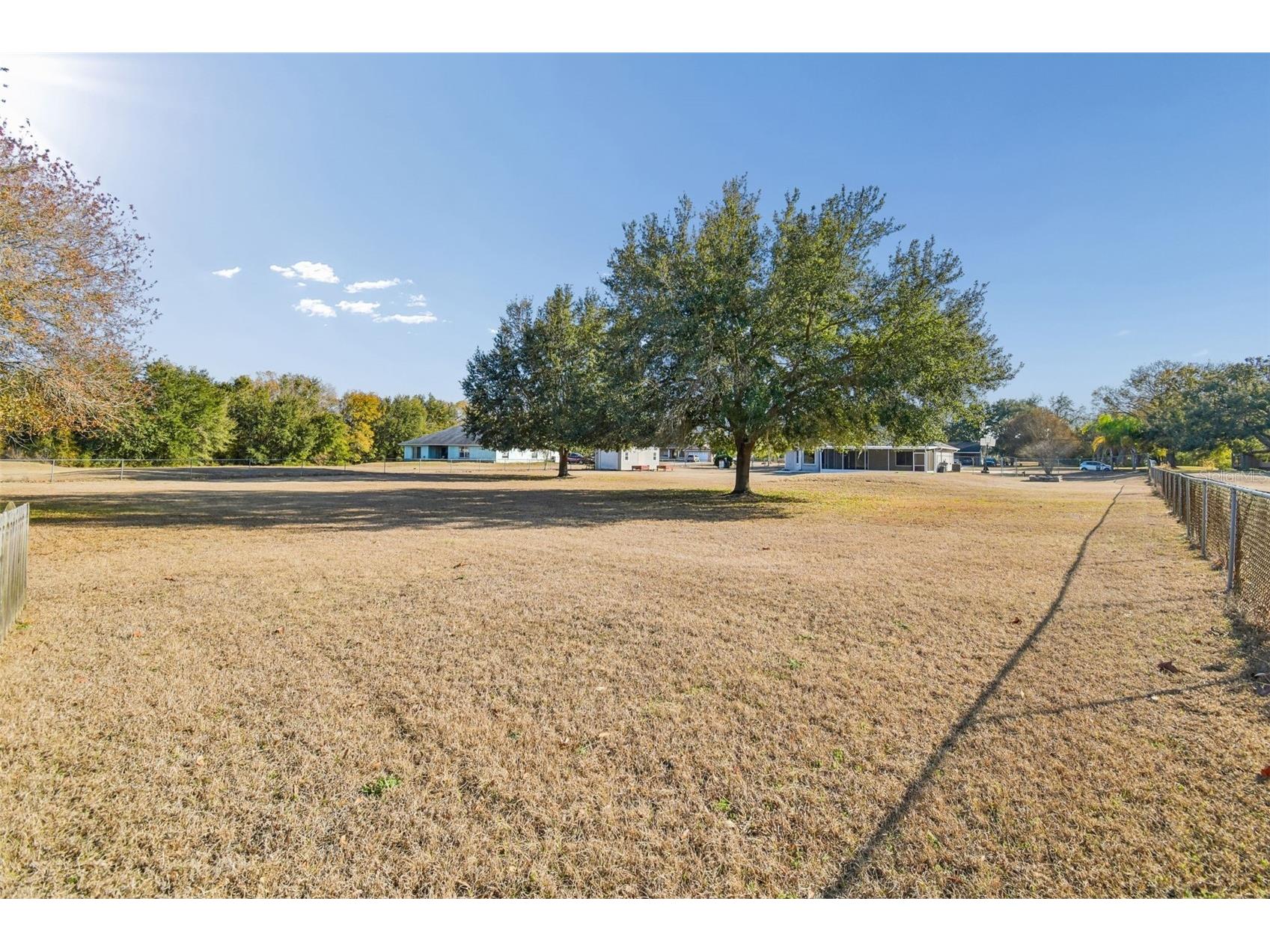 31609 Hunt Club Lane Wesley Chapel FL 33543 TB8483114 image53