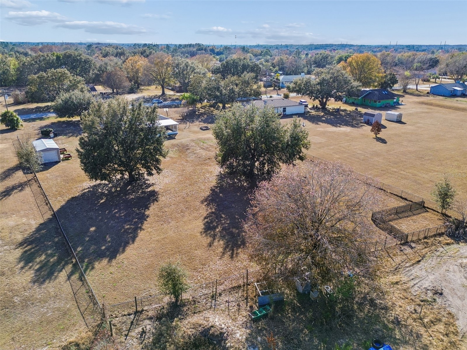 31609 Hunt Club Lane Wesley Chapel FL 33543 TB8483114 image59