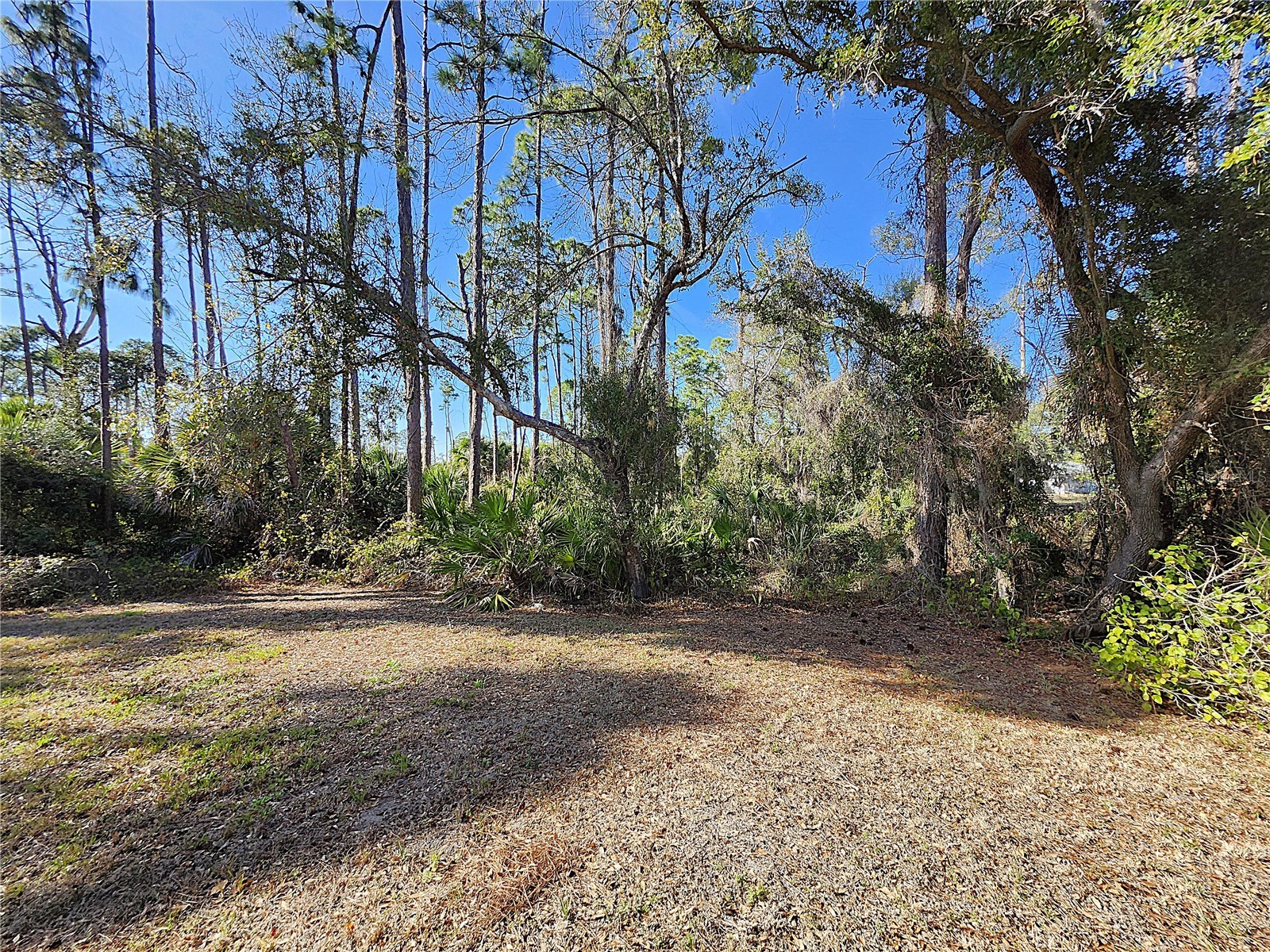 3161 Daphne Road North Port FL 34288 C7522270 image64