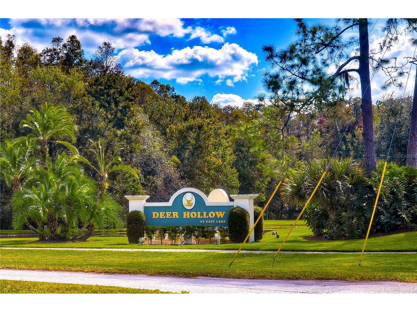 3161 Lake Pine Way S #F3 Tarpon Springs FL 34688 TB8470796 image29