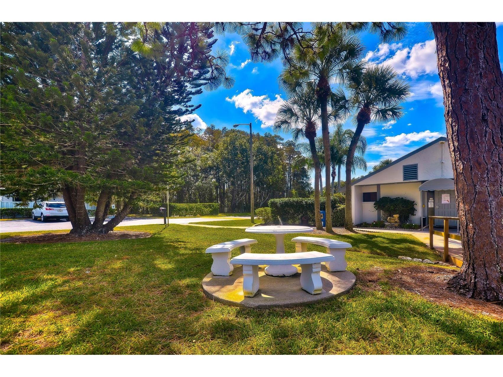 3161 Lake Pine Way S #F3 Tarpon Springs FL 34688 TB8470796 image31