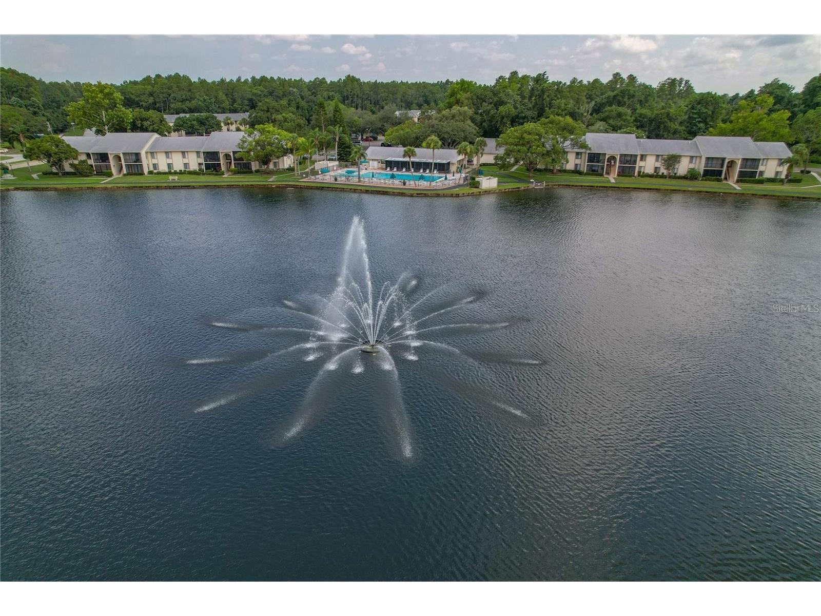 3161 Lake Pine Way S #F3 Tarpon Springs FL 34688 TB8470796 image37