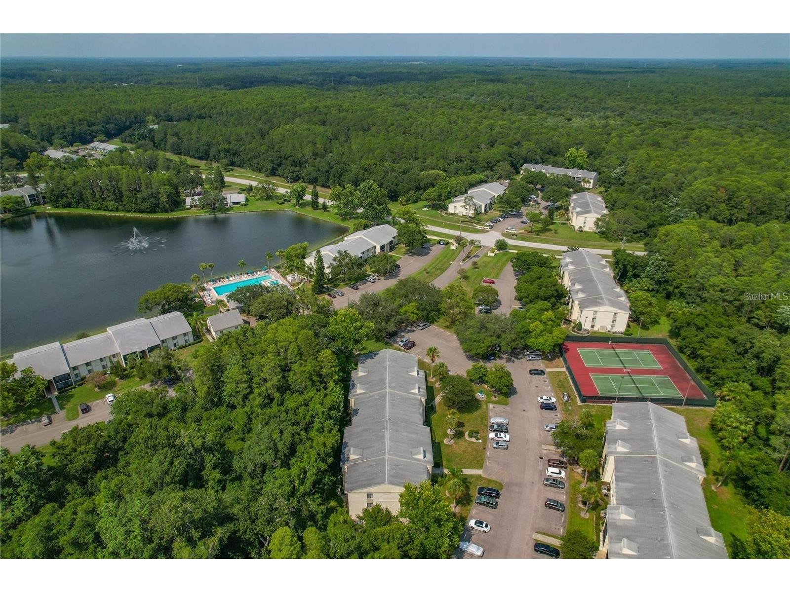 3161 Lake Pine Way S #F3 Tarpon Springs FL 34688 TB8470796 image42