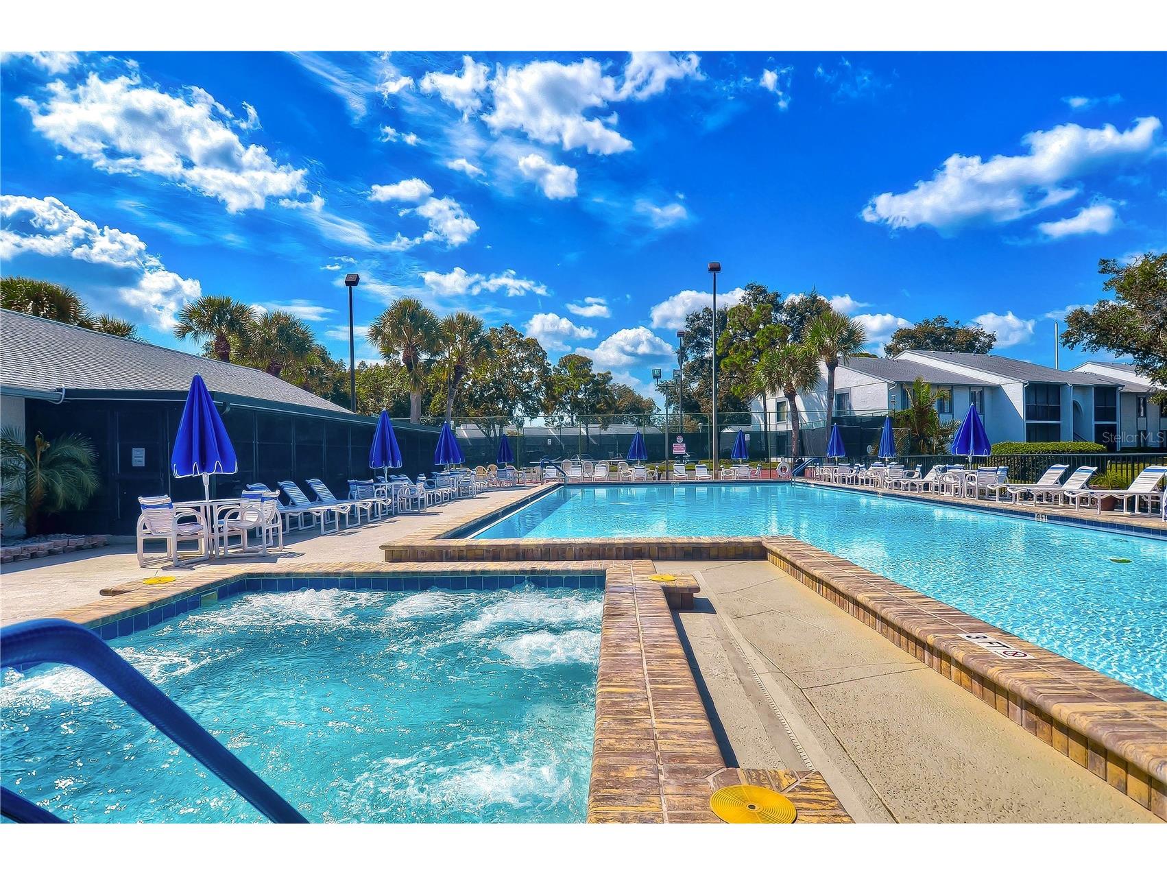 3161 Lake Pine Way S #F3 Tarpon Springs FL 34688 TB8470868 image31
