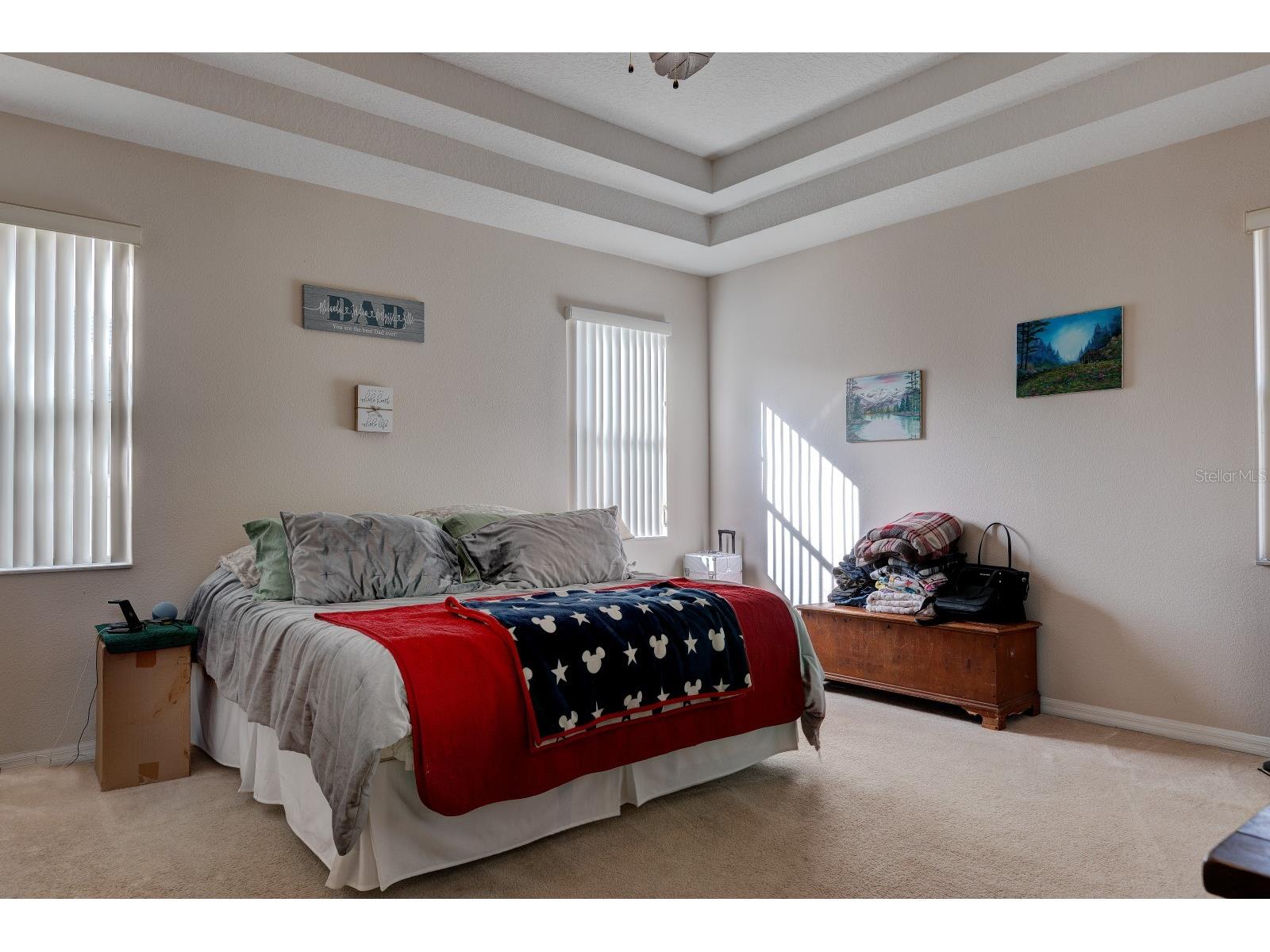 3161 Poppy Hill Road Mount Dora FL 32757 G5114213 image11