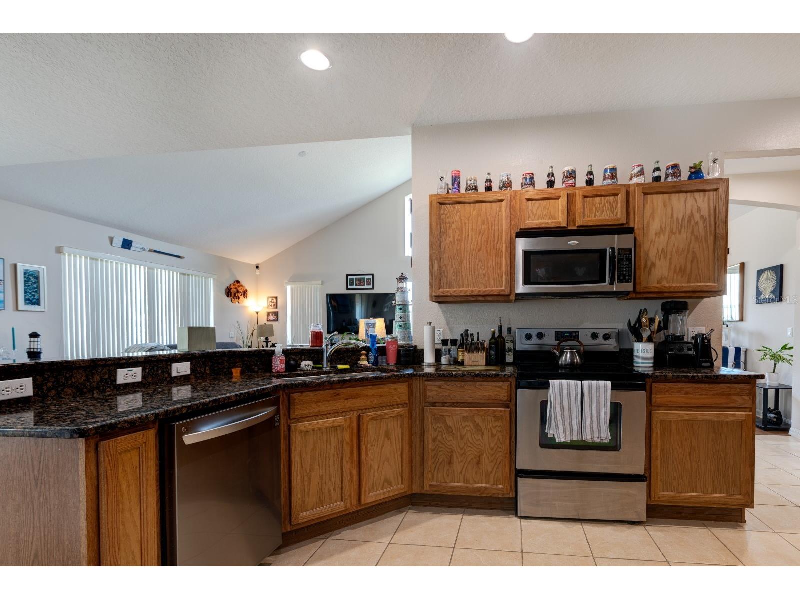 3161 Poppy Hill Road Mount Dora FL 32757 G5114213 image15