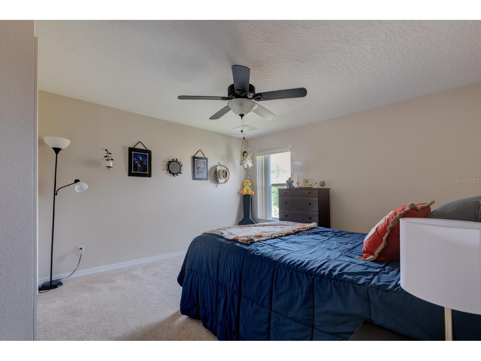 3161 Poppy Hill Road Mount Dora FL 32757 G5114213 image21