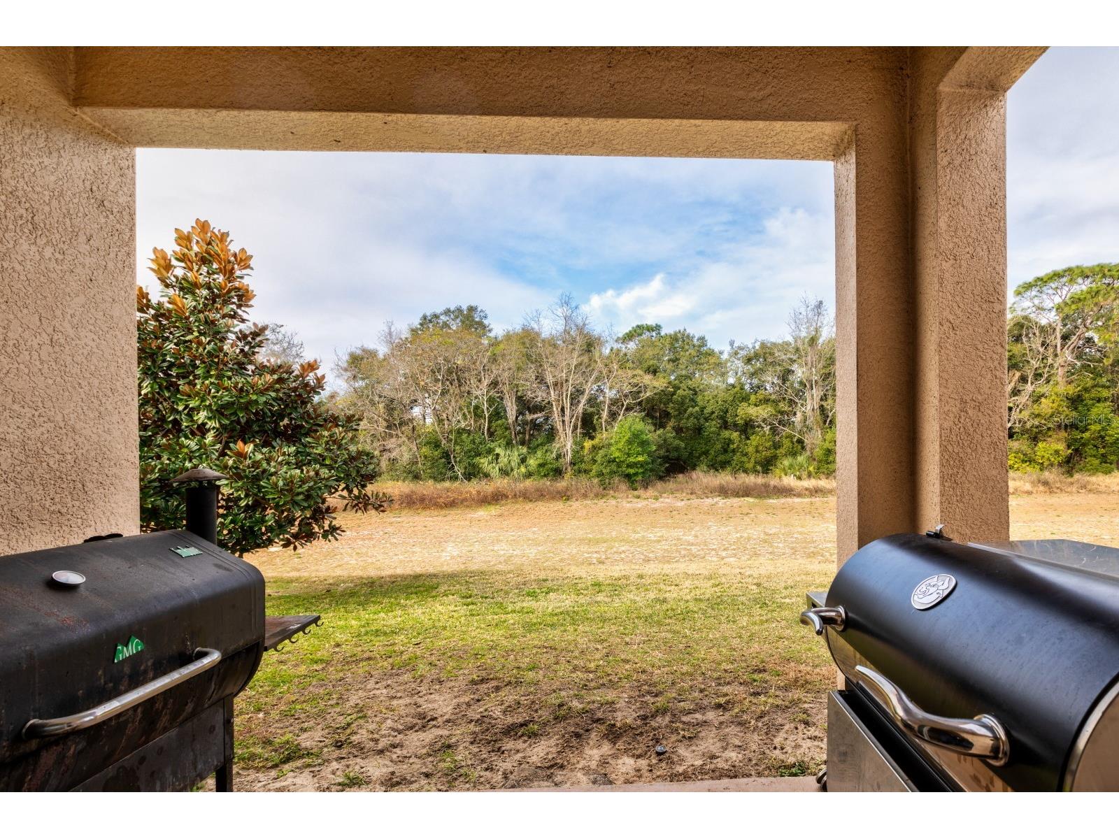 3161 Poppy Hill Road Mount Dora FL 32757 G5114213 image23