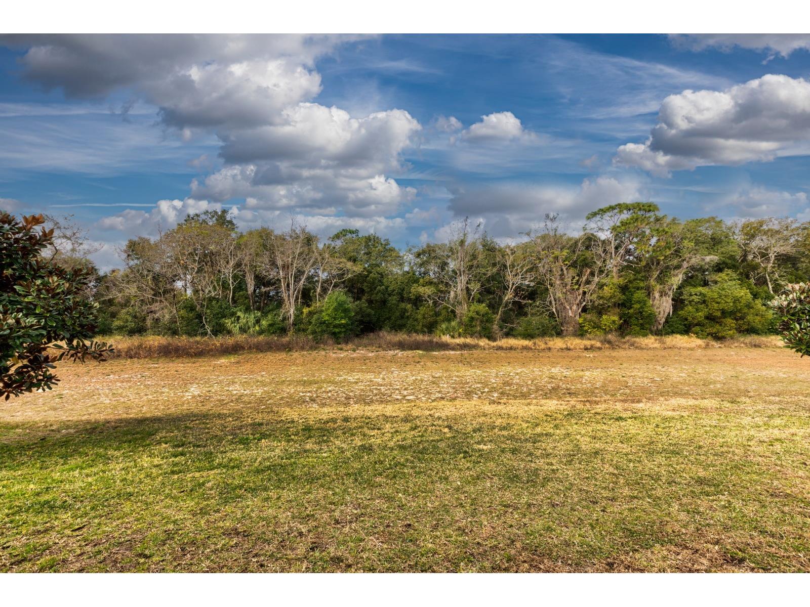 3161 Poppy Hill Road Mount Dora FL 32757 G5114213 image24